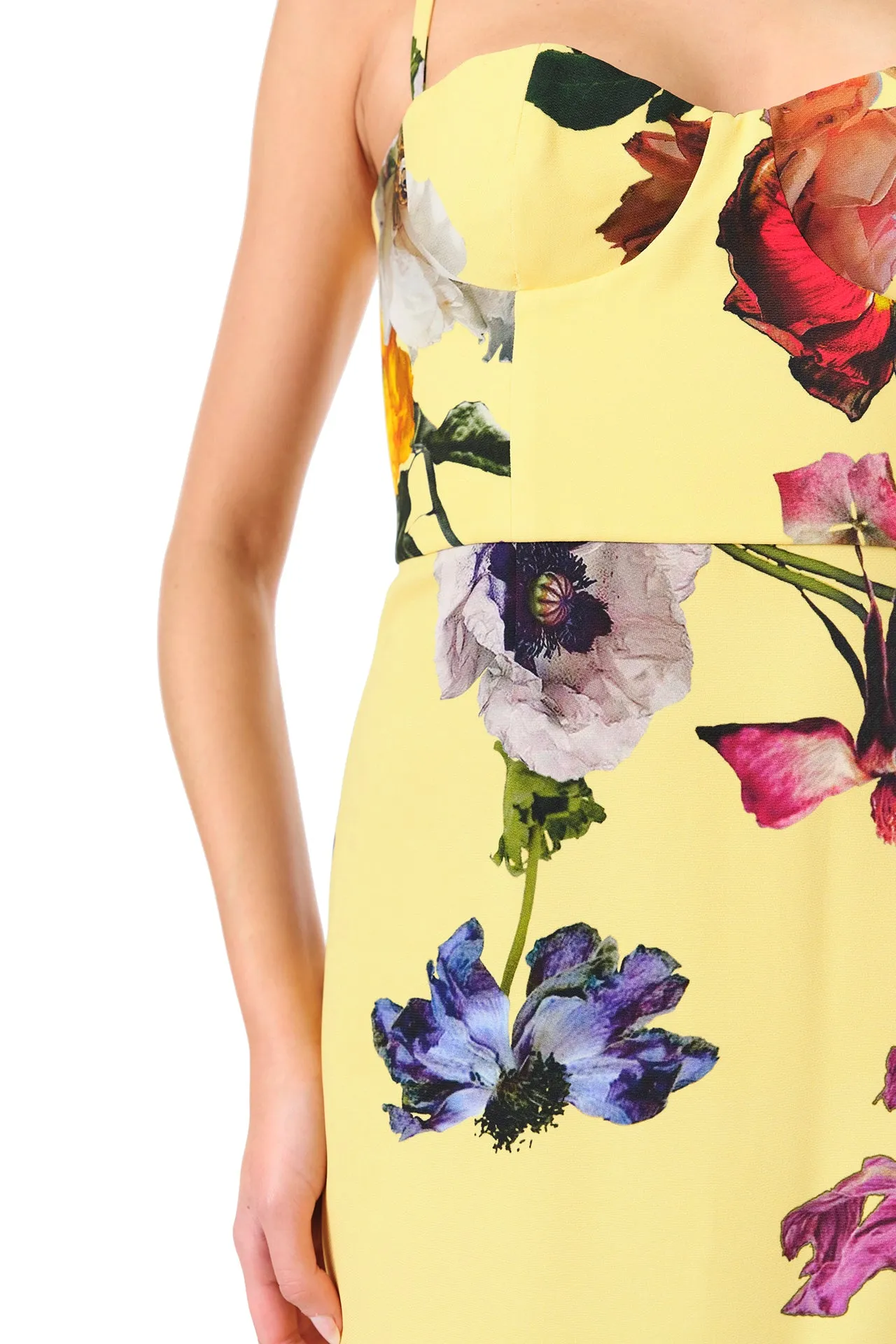 Floral Corseted Midi Dress